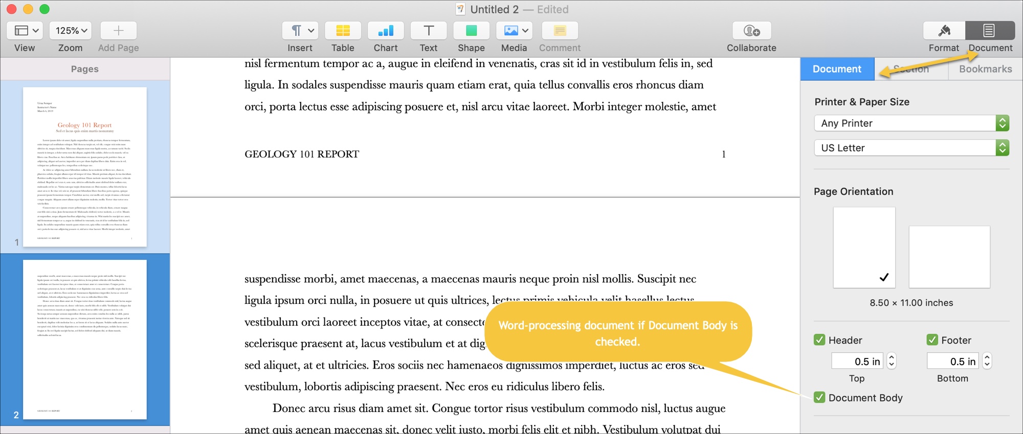 duplicate entire page word for mac